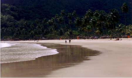 maracas morning.jpg (109156 bytes)