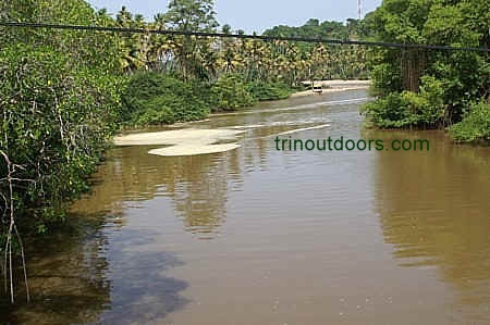 ortoire river mouth condensed.jpg (78735 bytes)