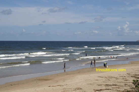 windswept mayaro beach condensed.jpg (62673 bytes)